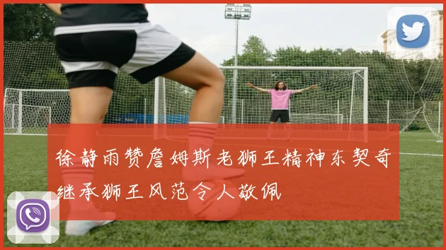 徐静雨赞詹姆斯老狮王精神东契奇继承狮王风范令人敬佩