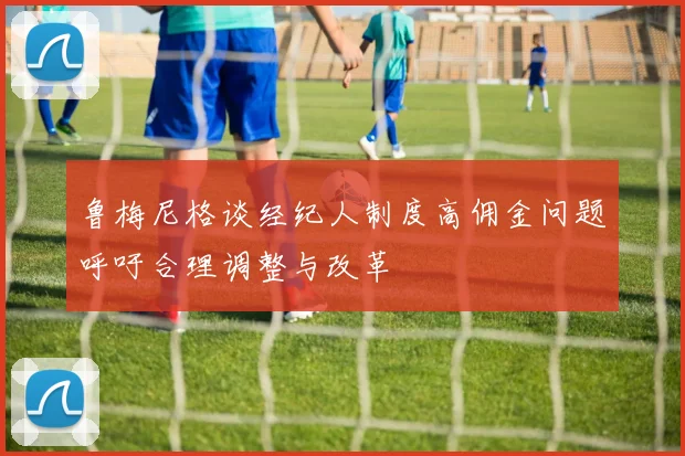鲁梅尼格谈经纪人制度高佣金问题呼吁合理调整与改革