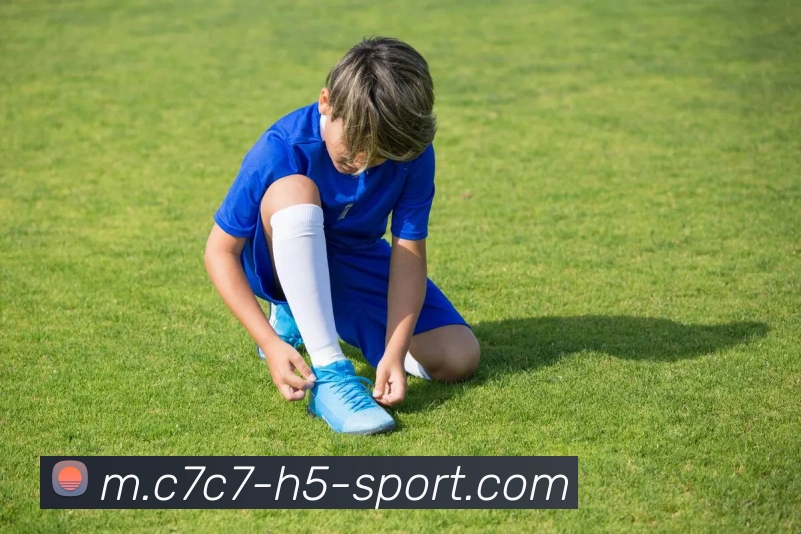 C7C7娱乐服务体系